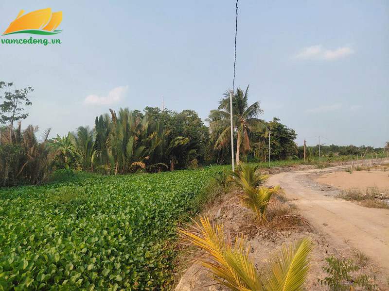 27.447.01 1000m2 đất vườn có 300m2 thổ cư MT kênh